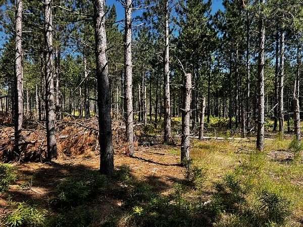 51 Acres of Recreational & Residential Land for Sale in Topinabee, Michigan
