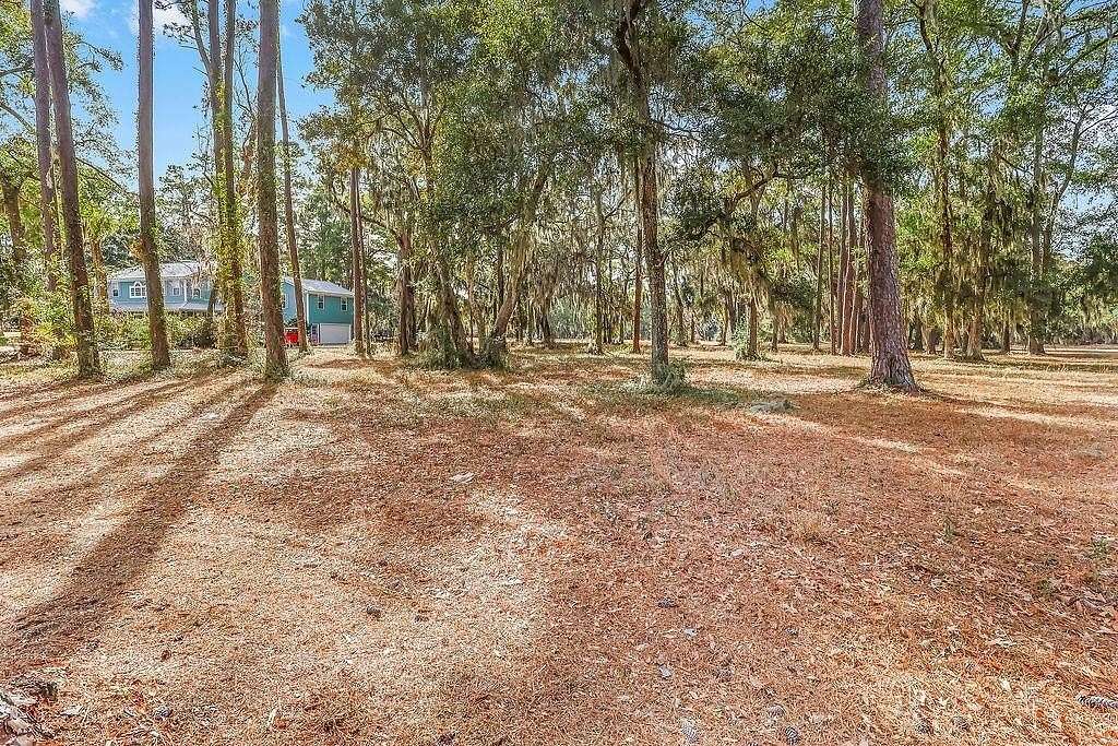 0.54 Acres of Residential Land for Sale in Townsend, Georgia