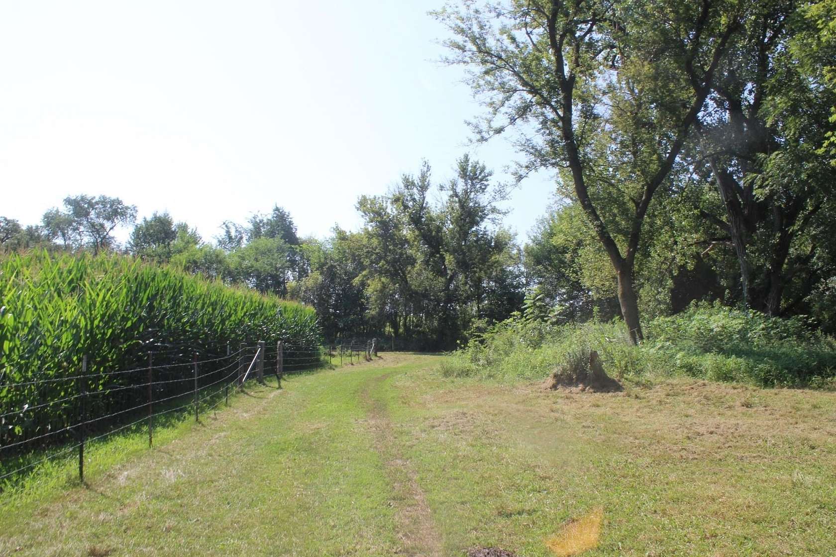 17 Acres of Recreational Land for Sale in Maquoketa, Iowa