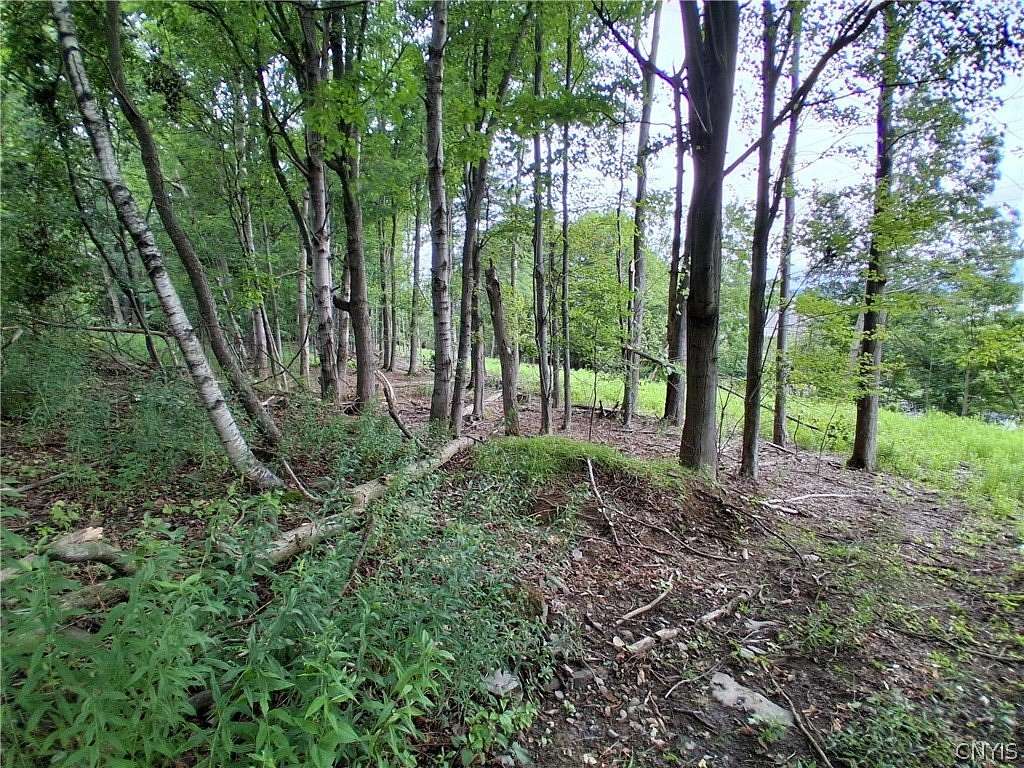0.67 Acres of Residential Land for Sale in Endicott, New York