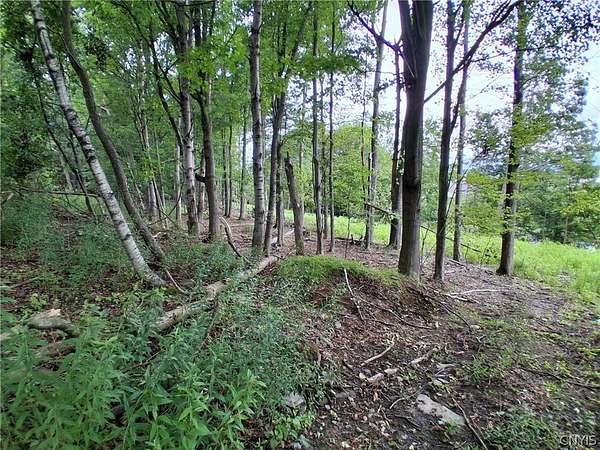 0.67 Acres of Residential Land for Sale in Endicott, New York
