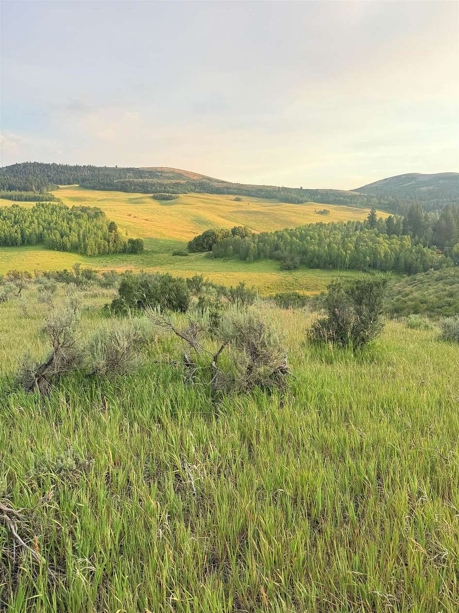 25.7 Acres of Recreational & Residential Land for Sale in Inkom, Idaho