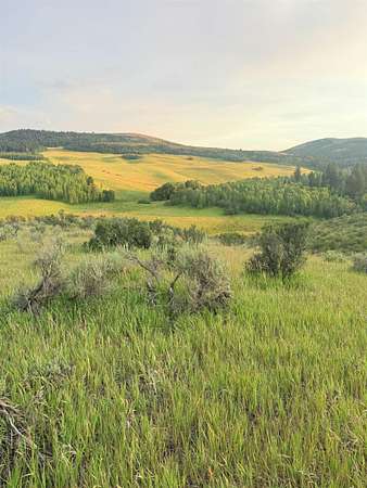 25.7 Acres of Recreational & Residential Land for Sale in Inkom, Idaho