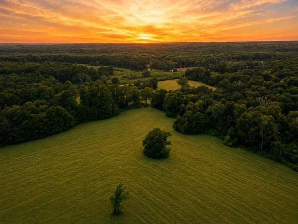 186 Acres of Land for Sale in Jasper, Texas