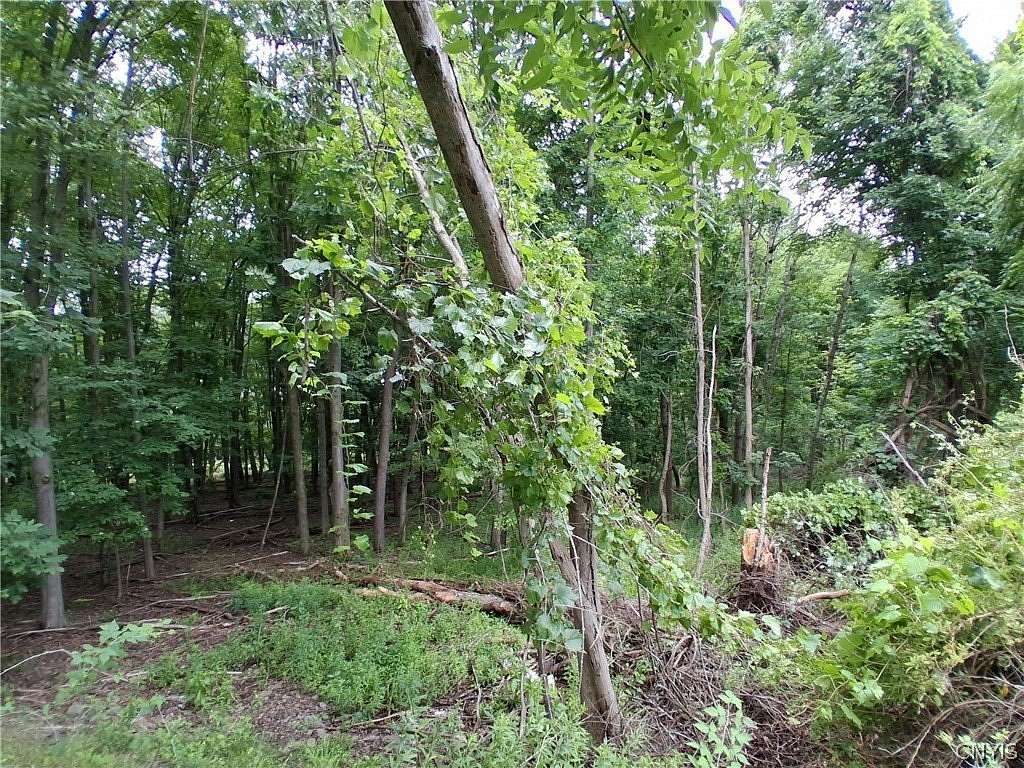 0.23 Acres of Residential Land for Sale in Endicott, New York