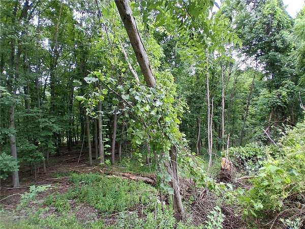 0.23 Acres of Residential Land for Sale in Endicott, New York