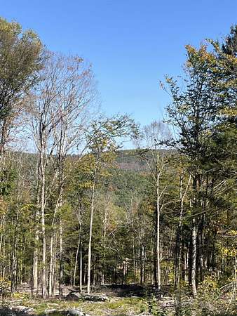 47 Acres of Recreational Land for Sale in Acworth, New Hampshire