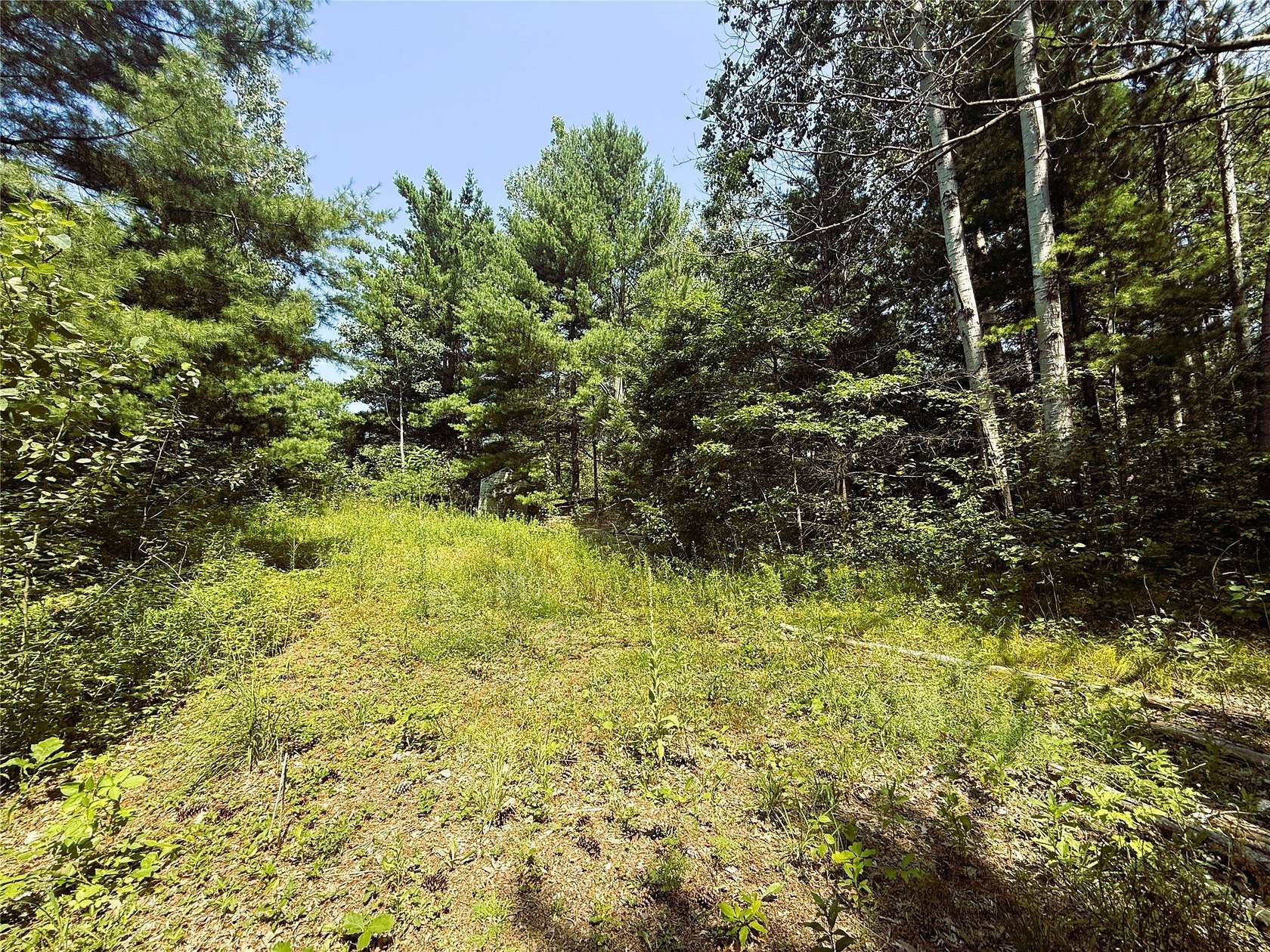 2 Acres of Residential Land for Sale in Bruce, Wisconsin