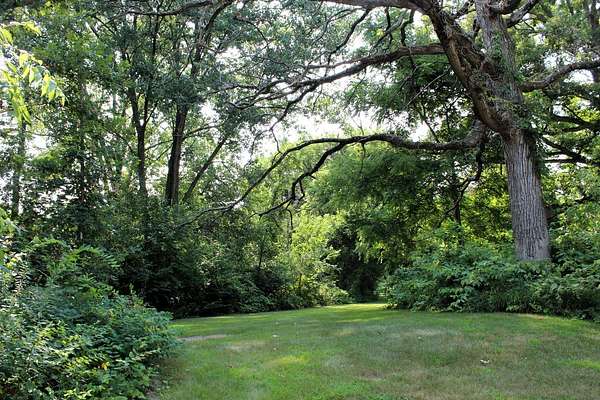 1 Acre of Residential Land for Sale in Johnsburg, Illinois