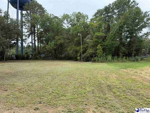 0.2 Acres of Residential Land for Sale in Dillon, South Carolina