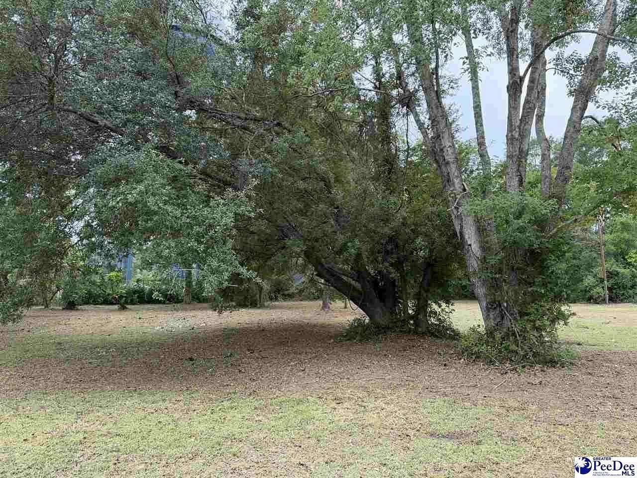 0.2 Acres of Residential Land for Sale in Dillon, South Carolina