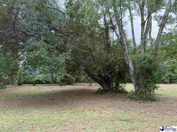0.2 Acres of Residential Land for Sale in Dillon, South Carolina