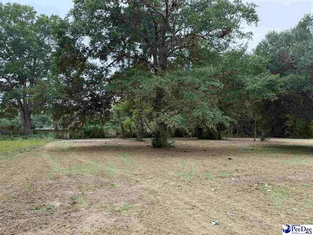 0.2 Acres of Residential Land for Sale in Dillon, South Carolina