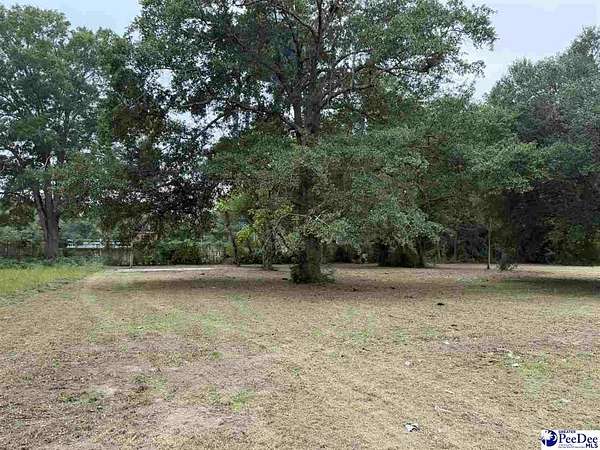 0.2 Acres of Residential Land for Sale in Dillon, South Carolina