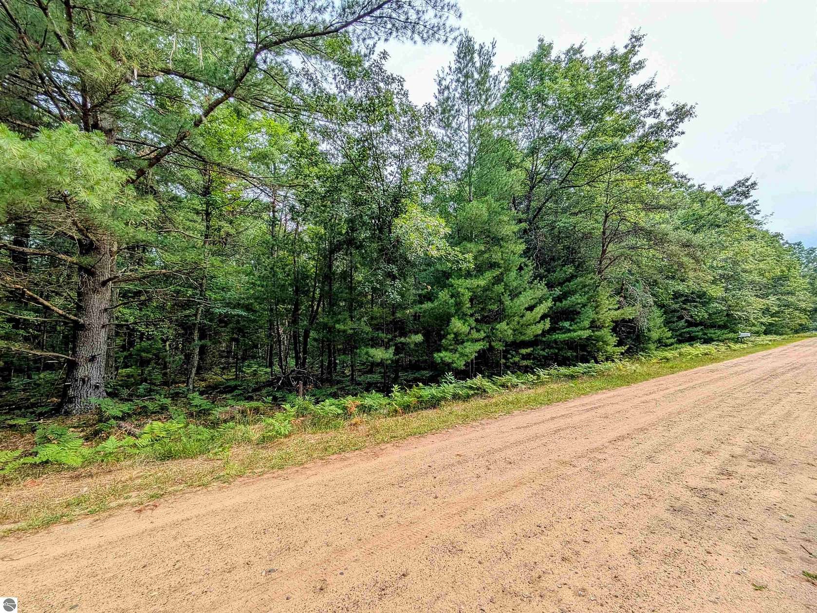 0.9 Acres of Land for Sale in Alger, Michigan