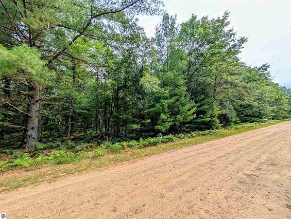 0.9 Acres of Land for Sale in Alger, Michigan