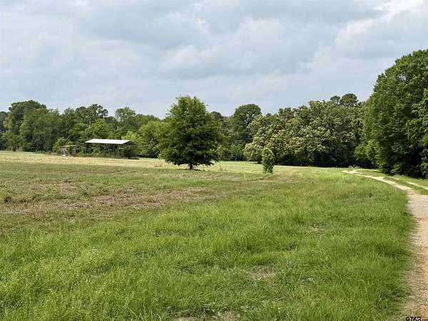 8 Acres of Land for Sale in Brownsboro, Texas