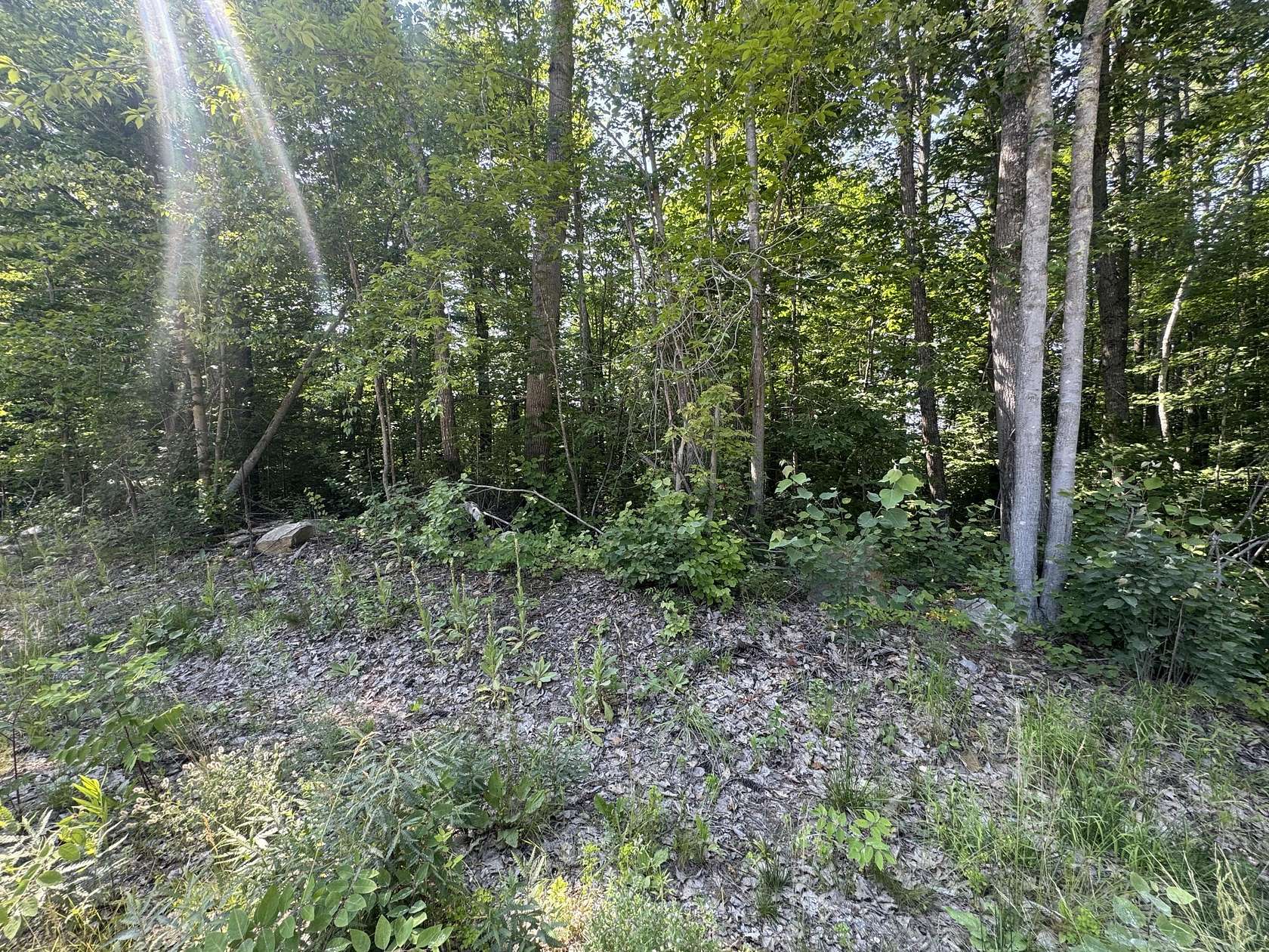 0.5 Acres of Residential Land for Sale in Limerick, Maine