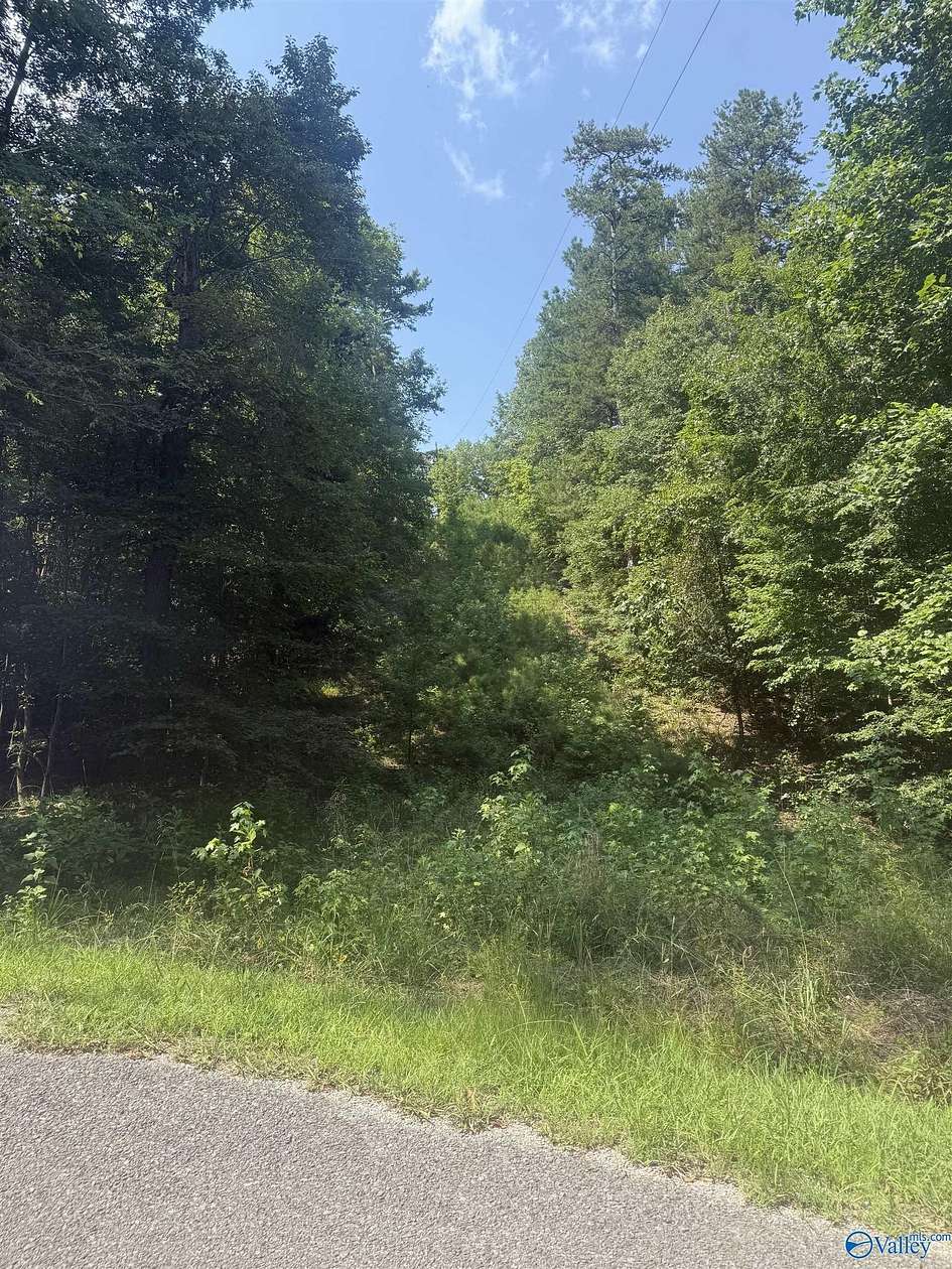 2.75 Acres of Residential Land for Sale in Cedar Bluff, Alabama