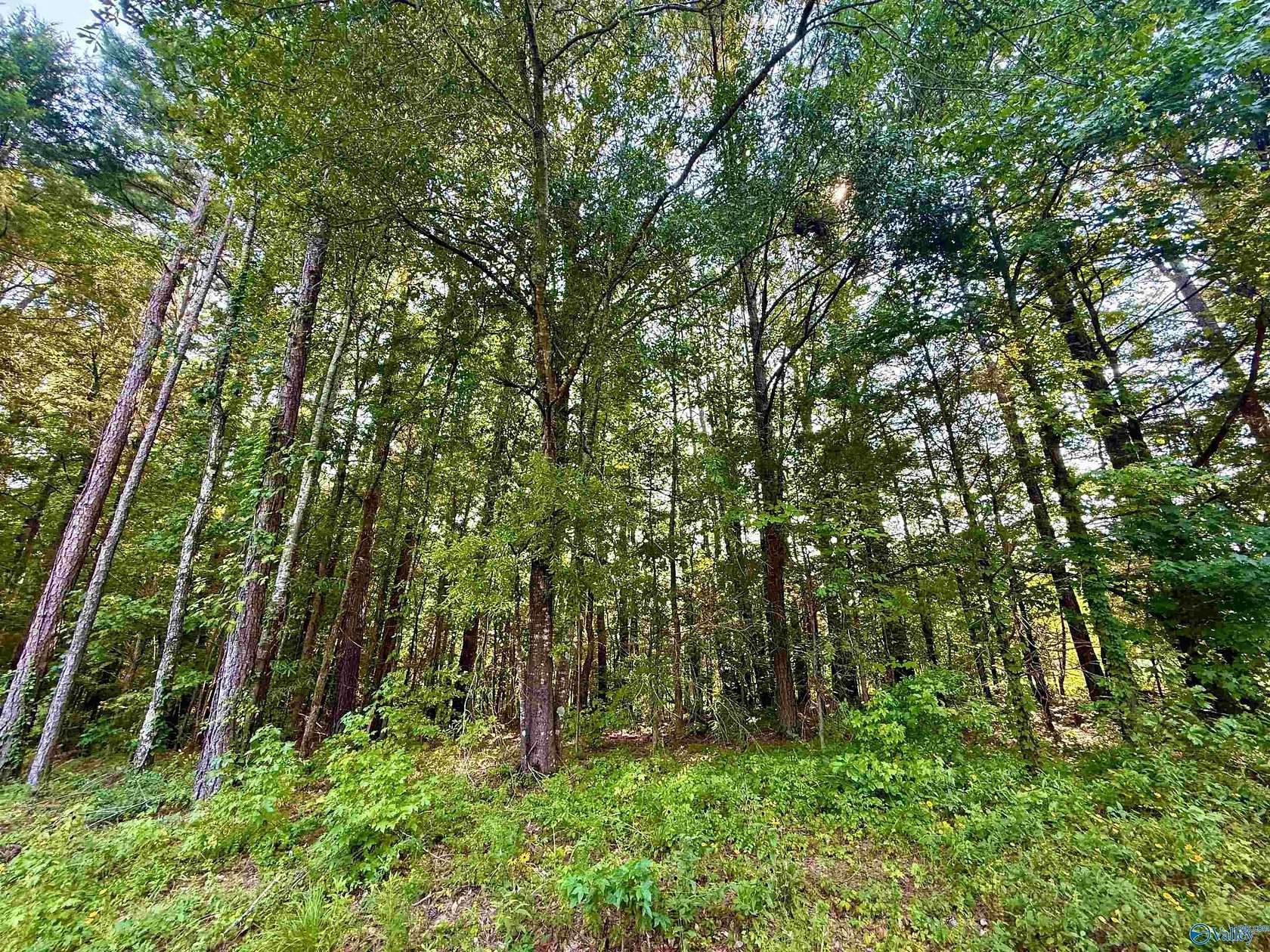 3 Acres of Residential Land for Sale in Hartselle, Alabama