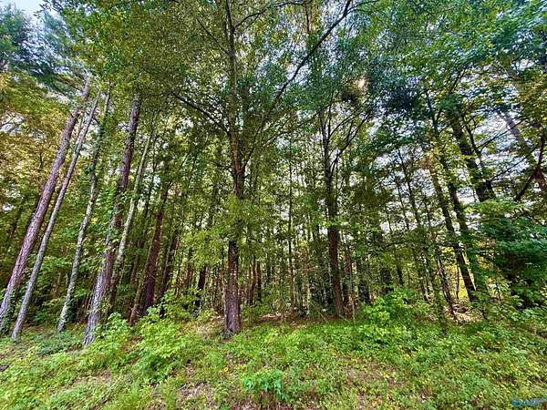 3 Acres of Residential Land for Sale in Hartselle, Alabama
