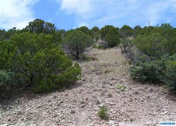 1.49 Acres of Land for Sale in Mimbres, New Mexico