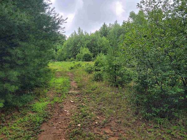 225 Acres of Recreational Land for Sale in Fitzwilliam, New Hampshire