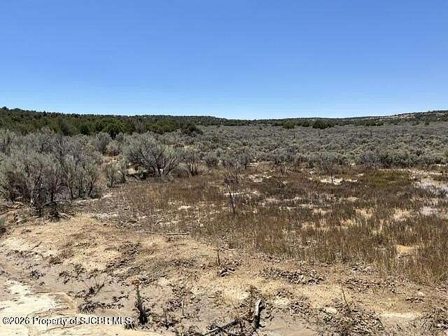 160 Acres of Recreational Land for Sale in Navajo Dam, New Mexico