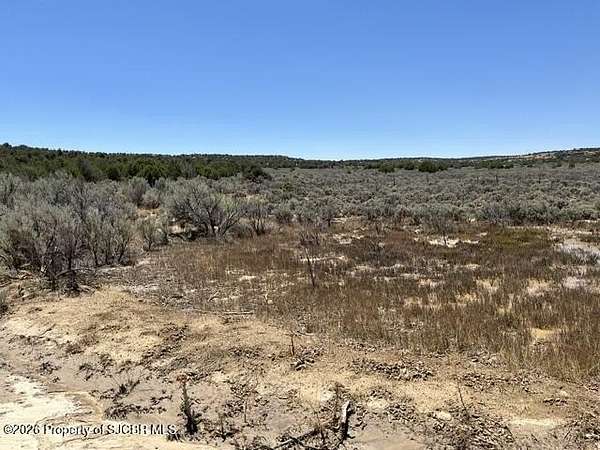 160 Acres of Recreational Land for Sale in Navajo Dam, New Mexico