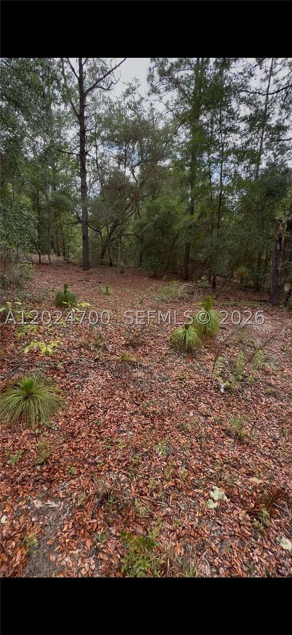 0.24 Acres of Land for Sale in Ocala, Florida