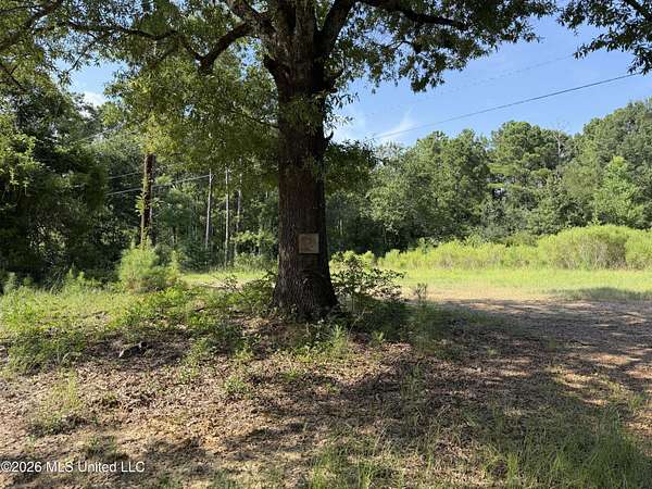 2.85 Acres of Residential Land for Sale in Canton, Mississippi