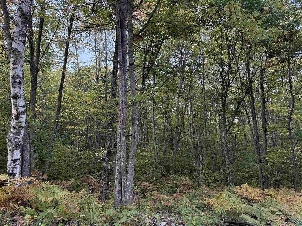 17.7 Acres of Land for Sale in Iron River, Wisconsin