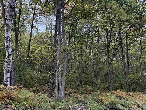 17.7 Acres of Land for Sale in Iron River, Wisconsin