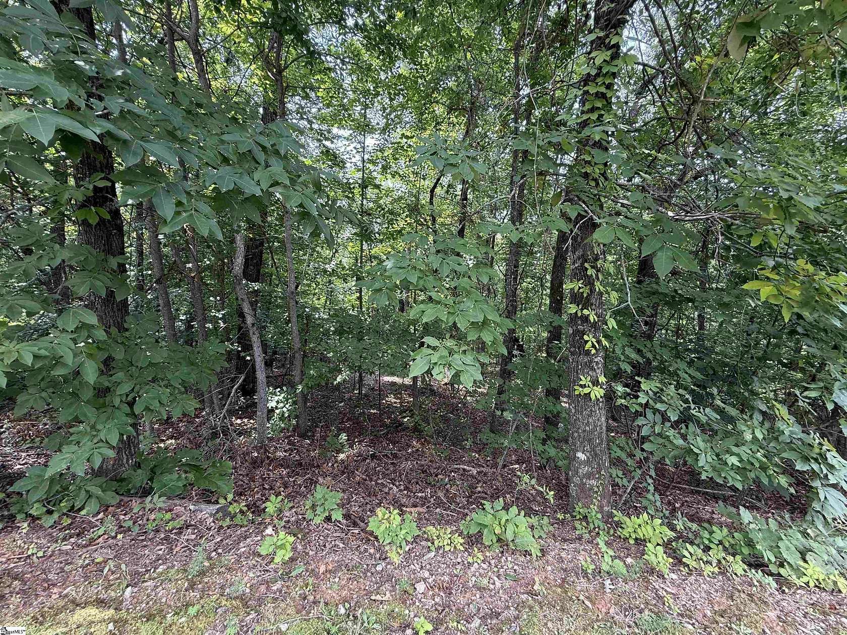 1.2 Acres of Residential Land for Sale in Marietta, South Carolina