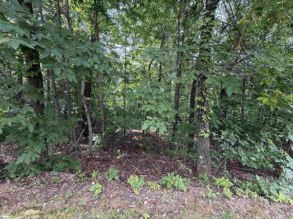 1.2 Acres of Residential Land for Sale in Marietta, South Carolina