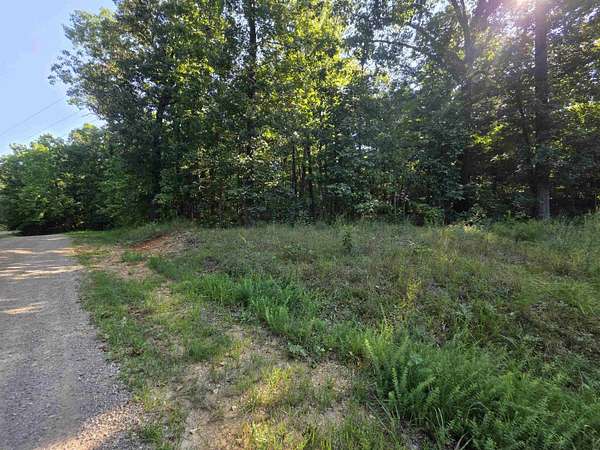 0.37 Acres of Residential Land for Sale in Ozark Acres, Arkansas