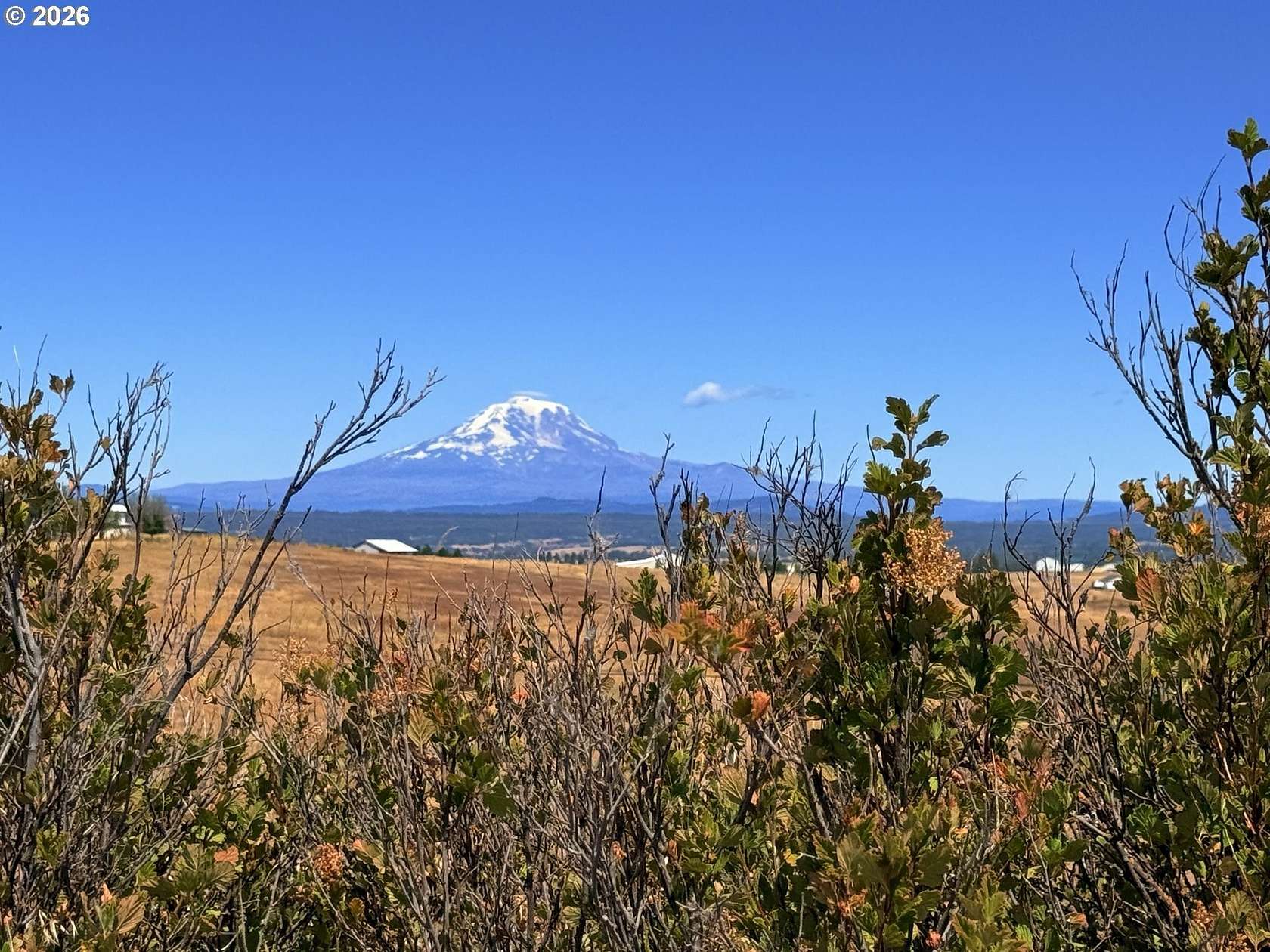 20.4 Acres of Land for Sale in Centerville, Washington