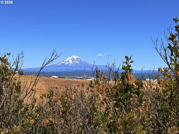 20.4 Acres of Land for Sale in Centerville, Washington