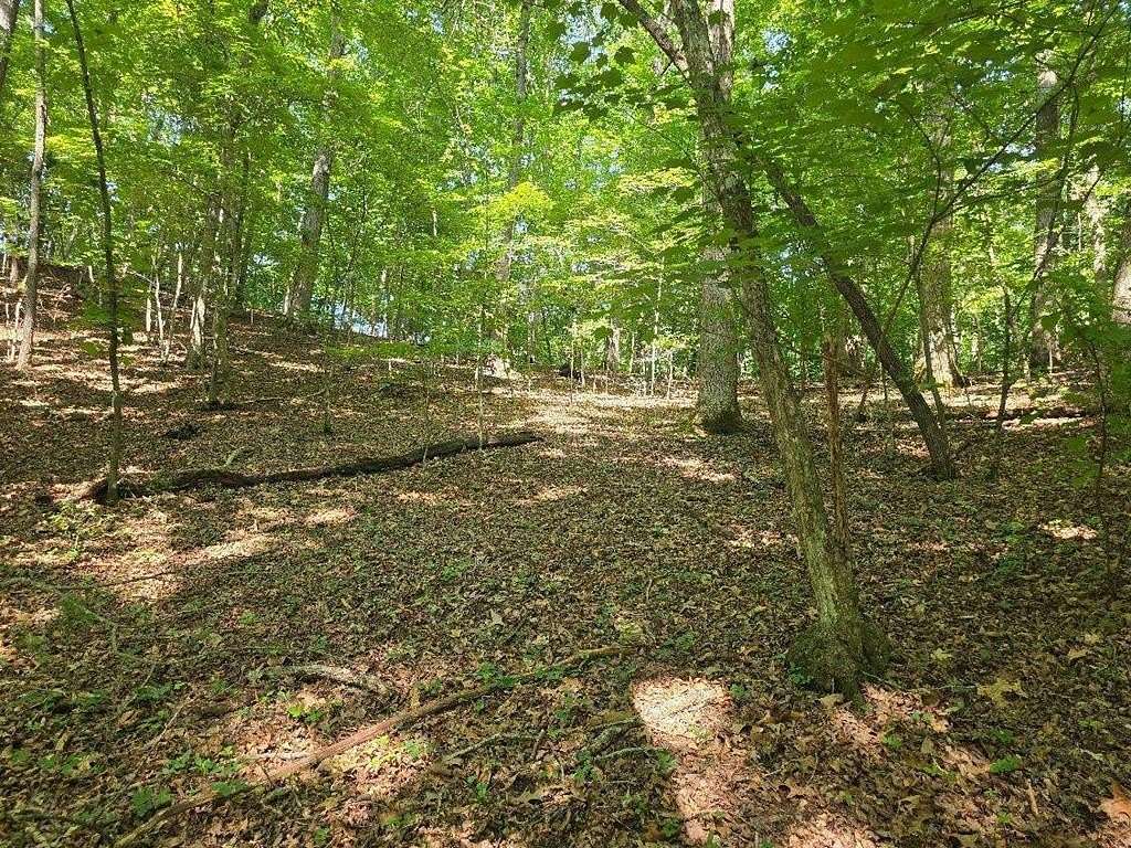 1 Acre of Residential Land for Sale in Franklin, North Carolina