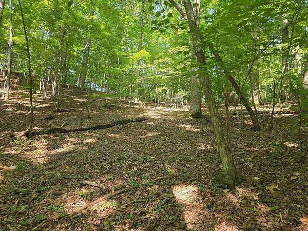 1 Acre of Residential Land for Sale in Franklin, North Carolina