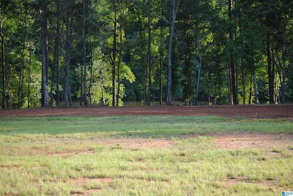 1.1 Acres of Residential Land for Sale in Woodland, Alabama