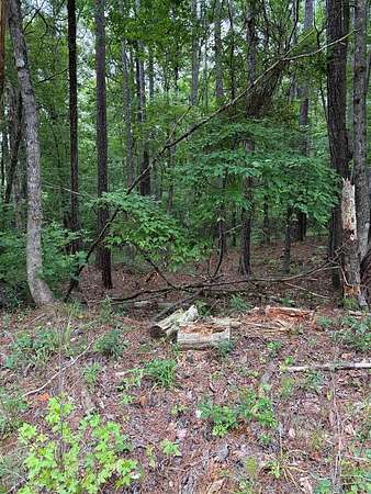 Residential Land for Sale in Sparta, Georgia