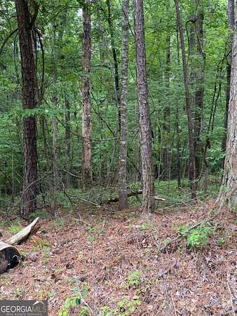 0.5 Acres of Residential Land for Sale in Sparta, Georgia