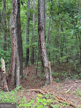 0.5 Acres of Residential Land for Sale in Sparta, Georgia