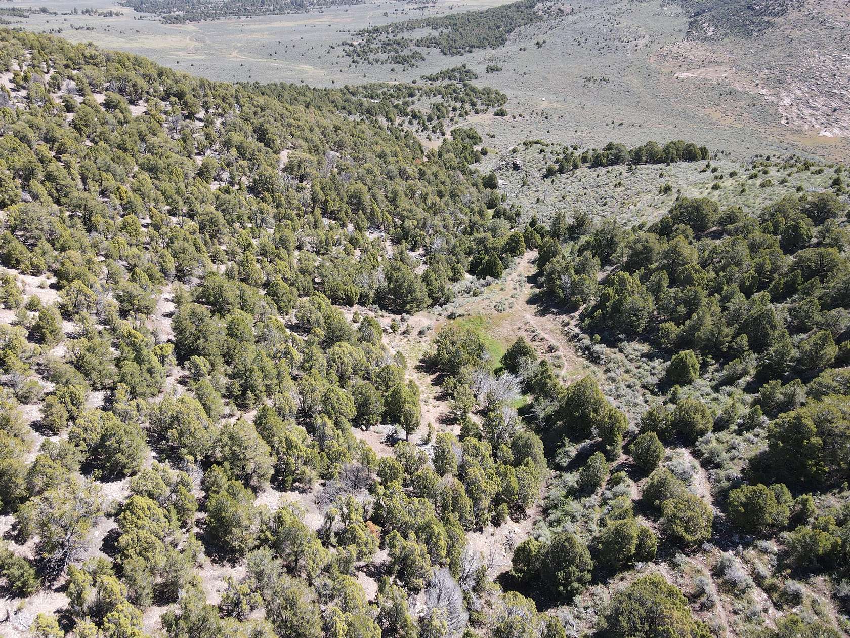 40 Acres of Recreational Land for Sale in Dinosaur, Colorado
