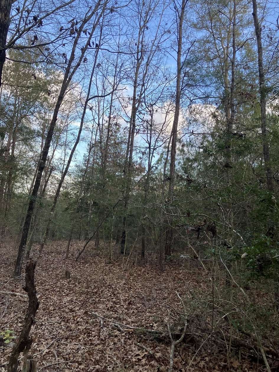 2.76 Acres of Land for Sale in Dozier, Alabama