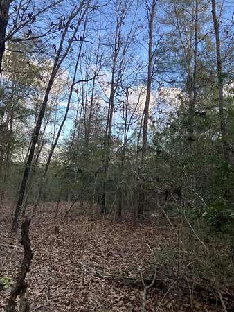 2.76 Acres of Land for Sale in Dozier, Alabama