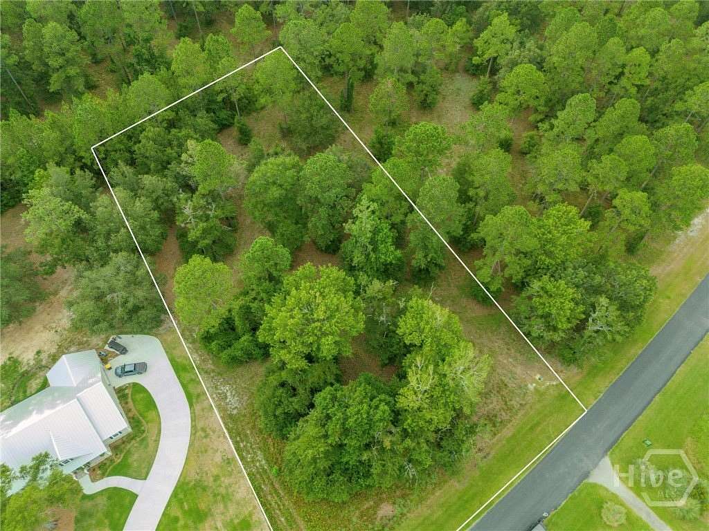 1 Acre of Residential Land for Sale in Townsend, Georgia