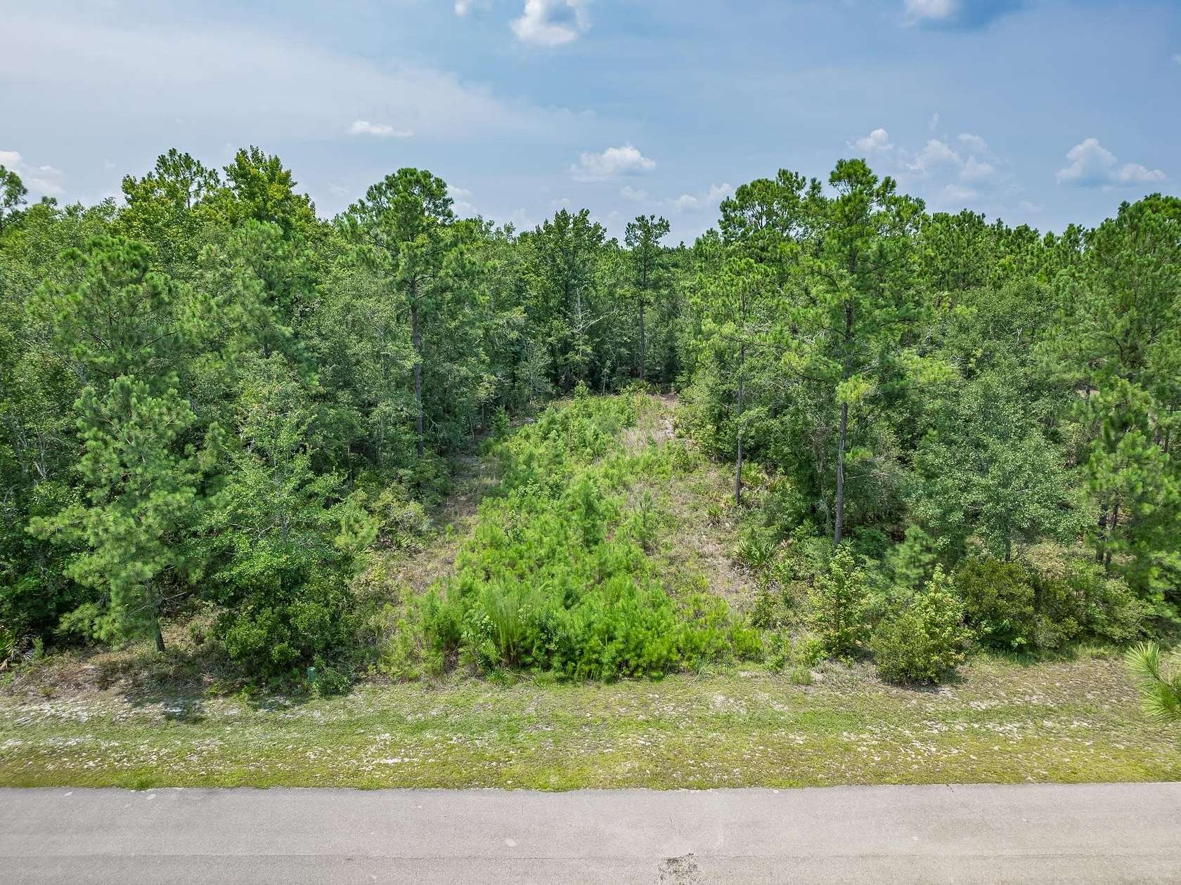 0.5 Acres of Residential Land for Sale in St. Marks, Florida