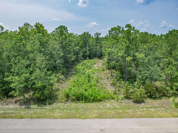0.5 Acres of Residential Land for Sale in St. Marks, Florida